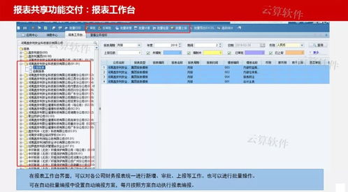 軟件項目驗收文檔清單 鑫安利財務(wù)共享項目驗收匯報會 云算軟件助力企業(yè)財務(wù)效率提升...